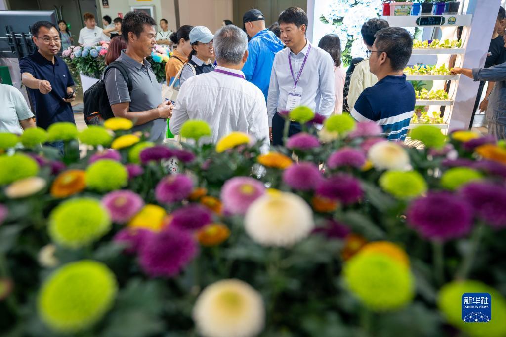 同城游五张牌